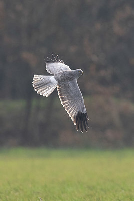 BUITEN BEELD Foto: 330259