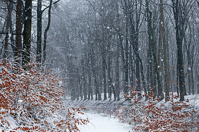 BUITEN BEELD Foto: 330271
