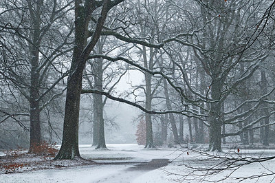 BUITEN BEELD Foto: 330277