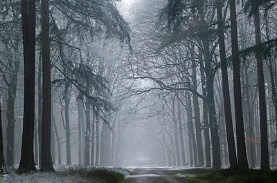 BUITEN BEELD Foto: 330280