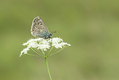 BUITEN BEELD Foto: 330342
