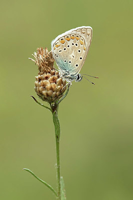 BUITEN BEELD Foto: 330364