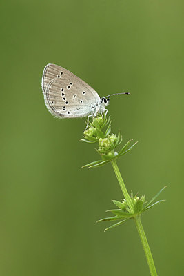 BUITEN BEELD Foto: 330375