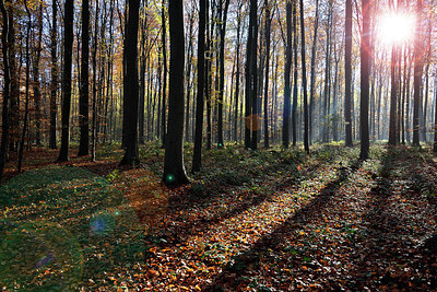 BUITEN BEELD Foto: 330417