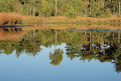 BUITEN BEELD Foto: 330424