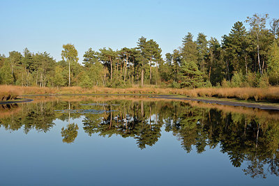 BUITEN BEELD Foto: 330425