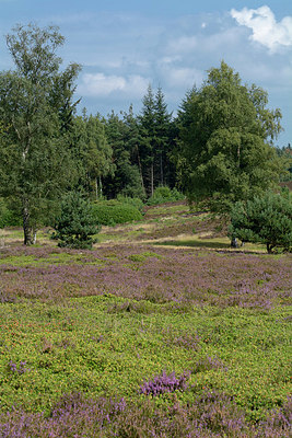 BUITEN BEELD Foto: 330433