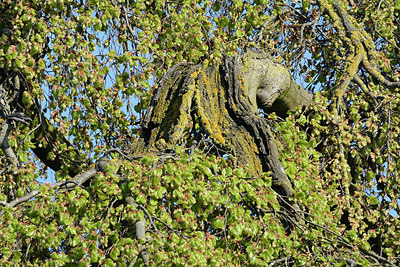 BUITEN BEELD Foto: 330441