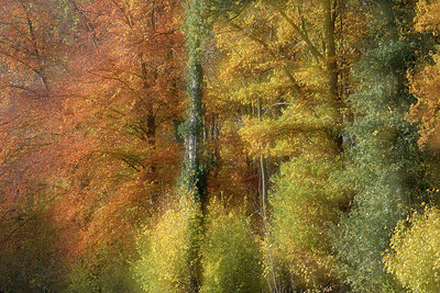 BUITEN BEELD Foto: 330453