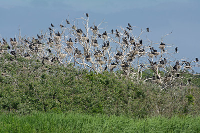 BUITEN BEELD Foto: 330480