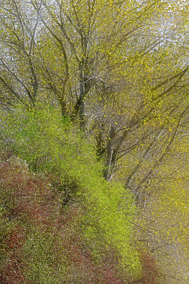 BUITEN BEELD Foto: 330483