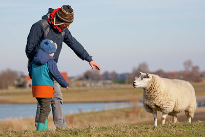 BUITEN BEELD Foto: 330801