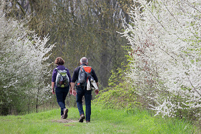 BUITEN BEELD Foto: 330832