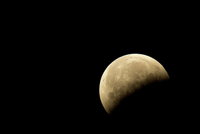 BUITEN BEELD Foto: 330850