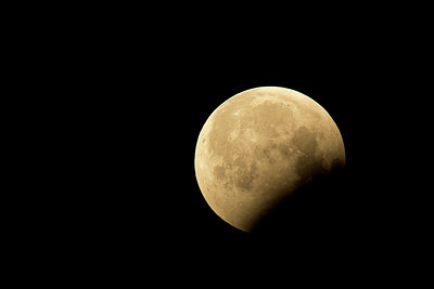 BUITEN BEELD Foto: 330851