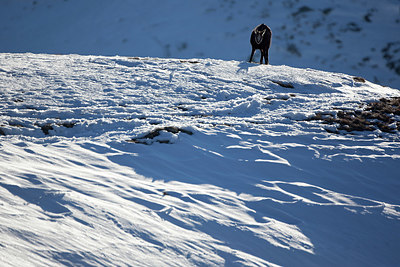 BUITEN BEELD Foto: 330859