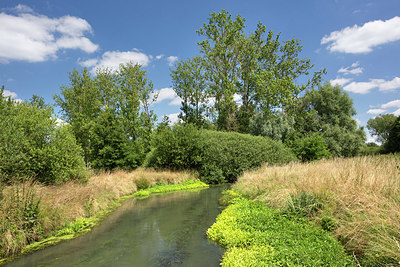 BUITEN BEELD Foto: 330871