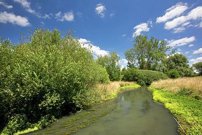 BUITEN BEELD Foto: 330872