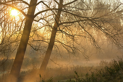 BUITEN BEELD Foto: 330875