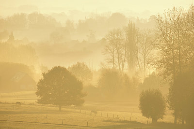 BUITEN BEELD Foto: 330891