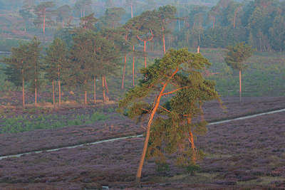 BUITEN BEELD Foto: 330892