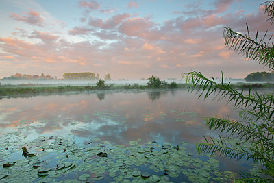 BUITEN BEELD Foto: 330896
