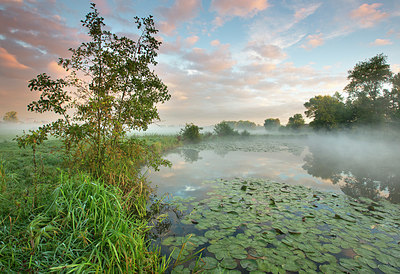 BUITEN BEELD Foto: 330897