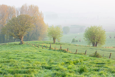 BUITEN BEELD Foto: 330968