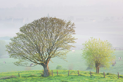 BUITEN BEELD Foto: 330969