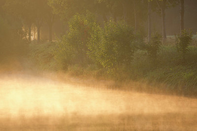 BUITEN BEELD Foto: 330975