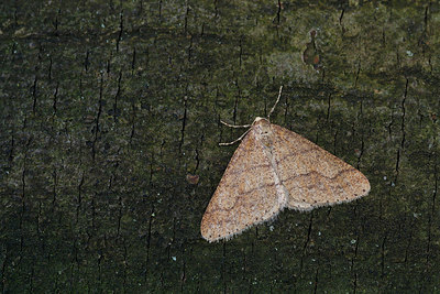 BUITEN BEELD Foto: 330980