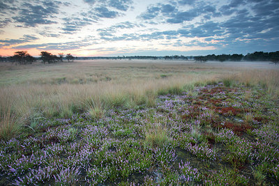 BUITEN BEELD Foto: 330993