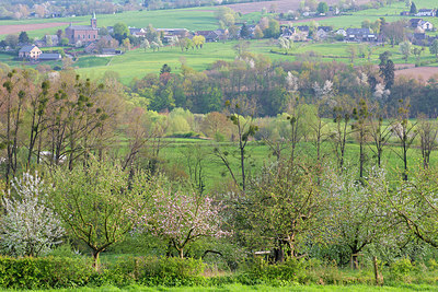 BUITEN BEELD Foto: 331000
