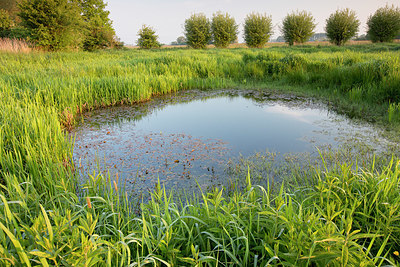 BUITEN BEELD Foto: 331006