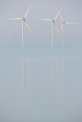 BUITEN BEELD Foto: 331013