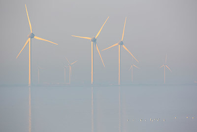 BUITEN BEELD Foto: 331015