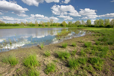 BUITEN BEELD Foto: 331037