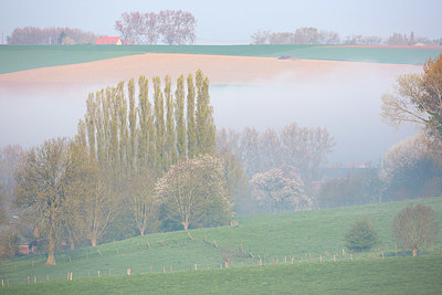 BUITEN BEELD Foto: 331061