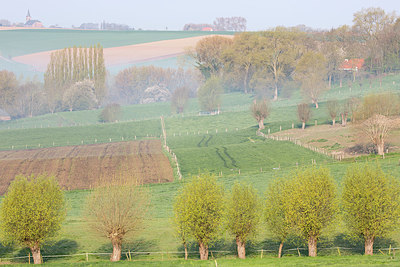 BUITEN BEELD Foto: 331062