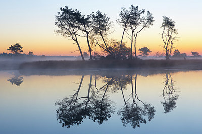 BUITEN BEELD Foto: 331085