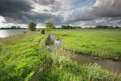 BUITEN BEELD Foto: 331107