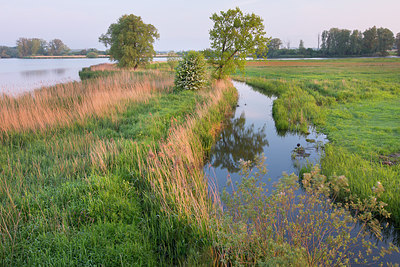 BUITEN BEELD Foto: 331109