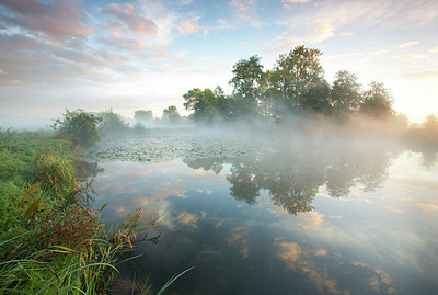 BUITEN BEELD Foto: 331128