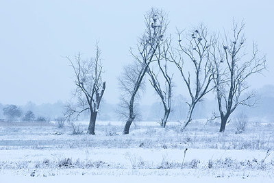 BUITEN BEELD Foto: 331134