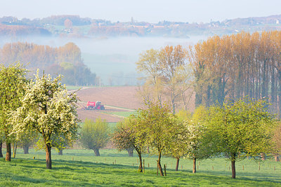 BUITEN BEELD Foto: 331165