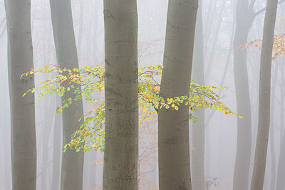 BUITEN BEELD Foto: 331169