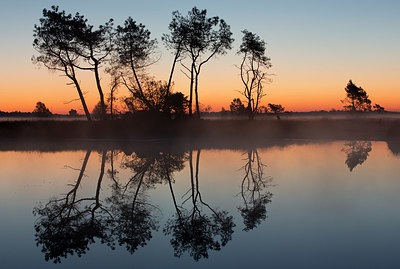 BUITEN BEELD Foto: 331171
