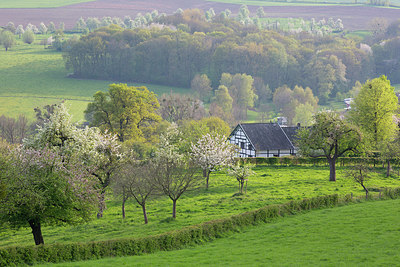 BUITEN BEELD Foto: 331174