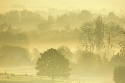 BUITEN BEELD Foto: 331187