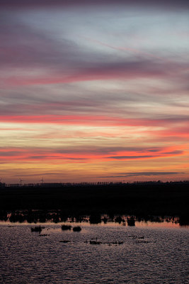 BUITEN BEELD Foto: 331586